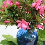 Mother's Day/Spring Tablescape