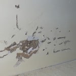 How to Repair Pet Damaged Walls by Marty's Musings