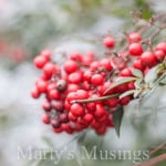 When I Speak Your Name from Marty's Musings-1