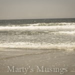 Chris Tomlin Majesty from Marty's Musings