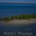 Jeremy Camp My Desire Simple Gift Sunday by Marty's Musings