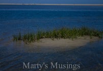 Jeremy Camp My Desire Simple Gift Sunday by Marty's Musings