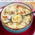 With only 4 ingredients plus spices, this Crock Pot Cheese Tortellini Soup is easy and a perfect dish to serve year round for busy families on a budget.
