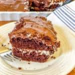 A piece of cake on a plate, with Chocolate and Twinkie