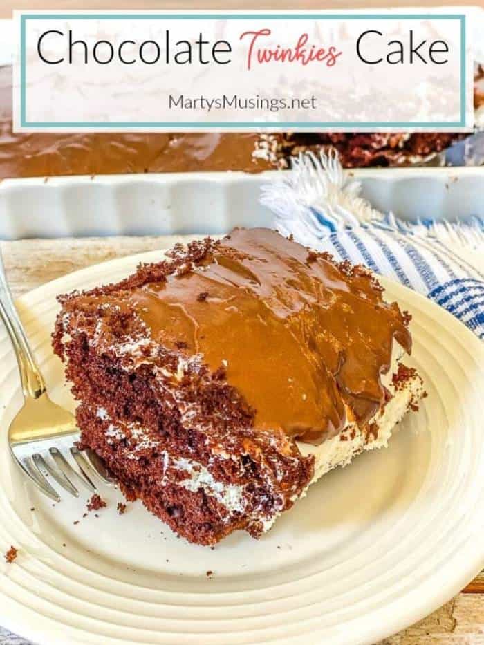 Chocolate cake with cream filling on white plate