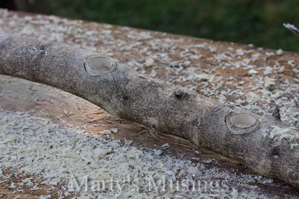 drilling holes in a branch for a centerpiece