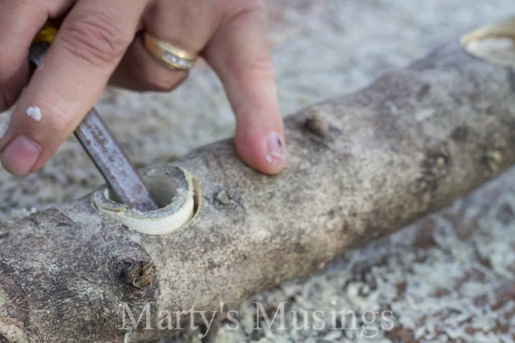 A close up of a hand