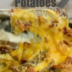 Potato Skins with cheese bacon and sour cream ranch sauce