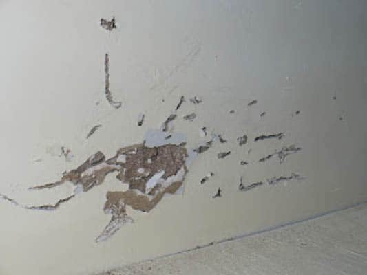 Wall torn up with pet scratches