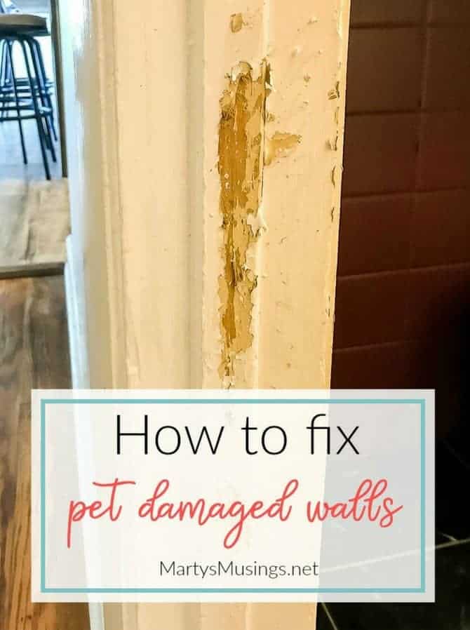 How to fix pet damaged walls