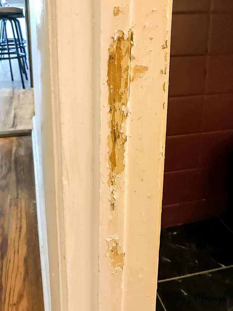 Dog Chewed Paint Off Wall? 