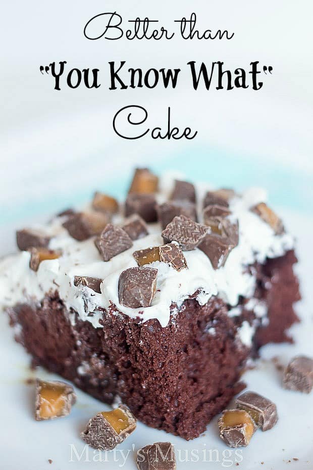 Better than You Know What Cake - Marty's Musings