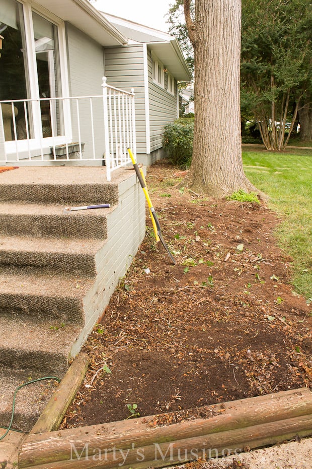 Tree and Deck