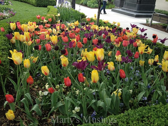 A close up of a flower garden