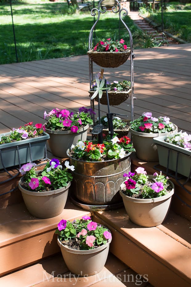 A group of pink flowers on a table