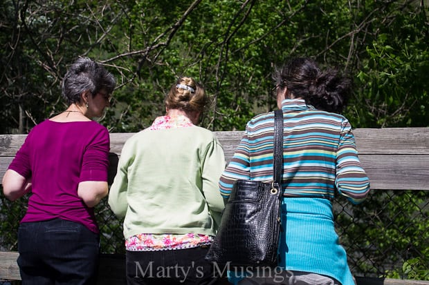 A group of people in a park