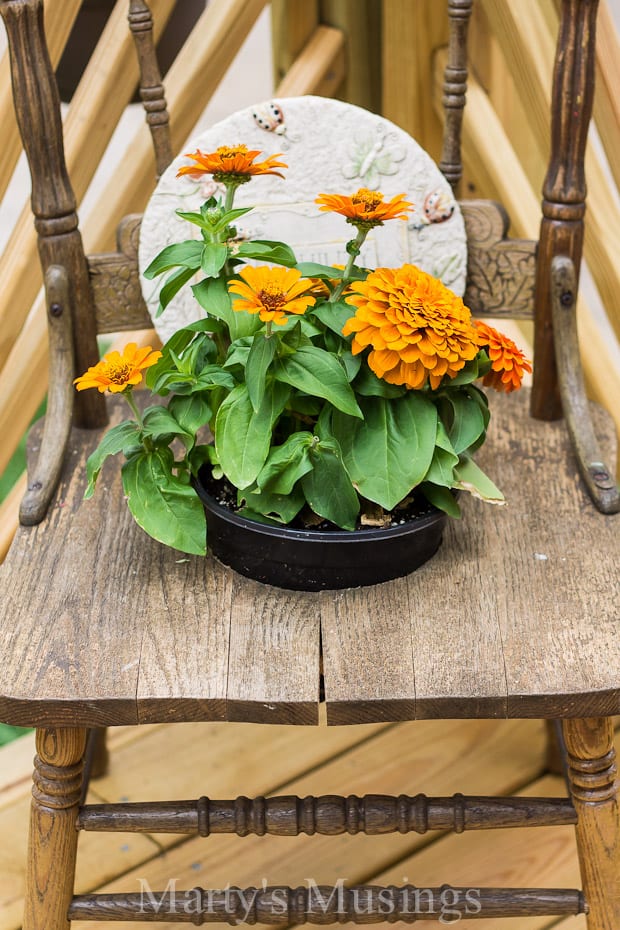 A wooden cutting board with a cake on a table, with Deck and Flower