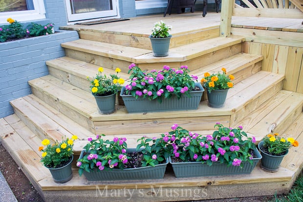 A close up of a flower garden