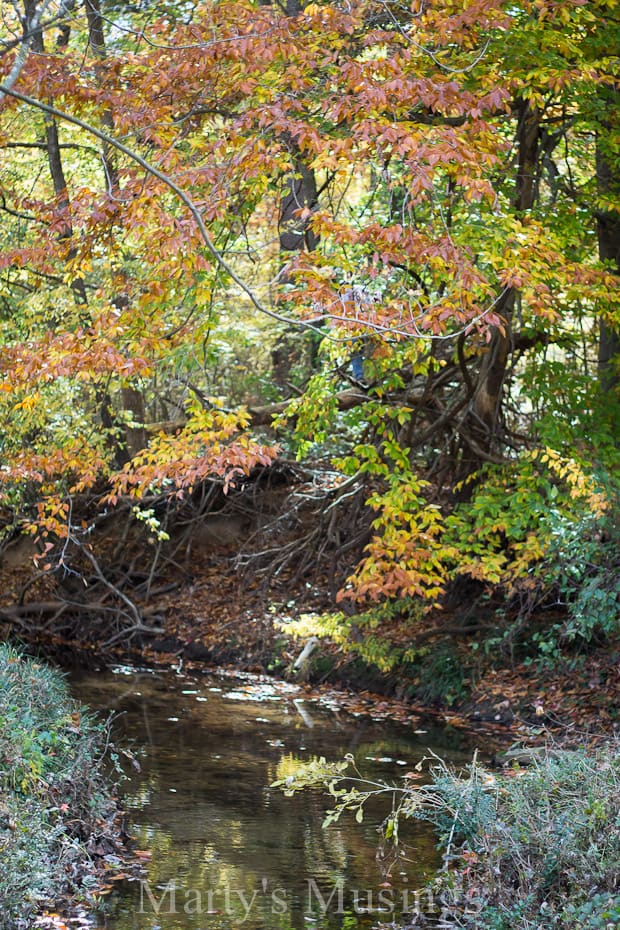 A waterfall surrounded by trees