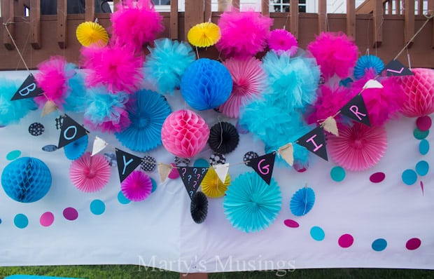 Gender Reveal Party Banner