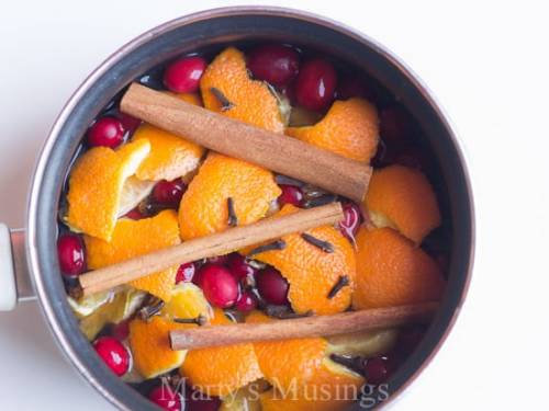 Homemade Potpourri with All Nautral Ingredients