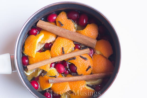 A bowl of fruit, with Potpourri and Holiday