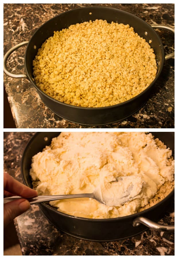 Easy Ice Cream Cake Recipe with Rice Krispies - Marty's Musings