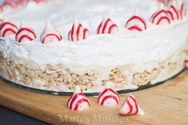 Easy Ice Cream Cake with Rice Krispies - Marty's Musings