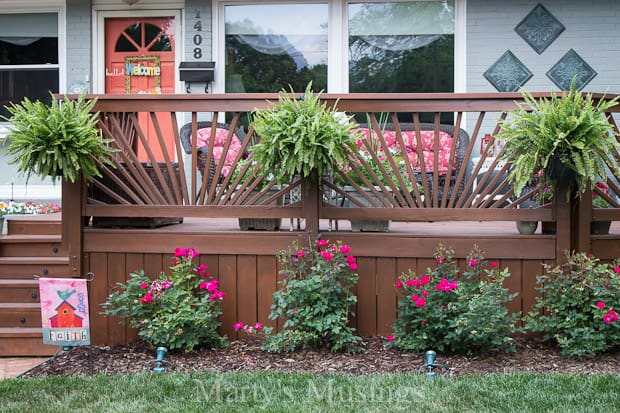 Front deck with roses and hanging ferns