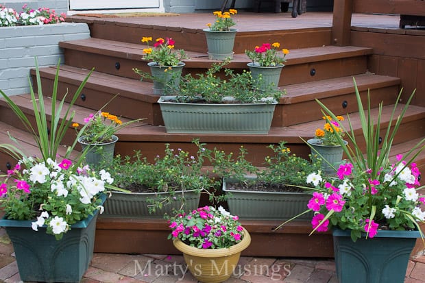 Flowers in planters on deck stairs