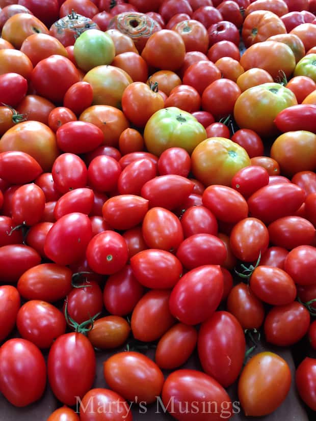 A pile of fruit