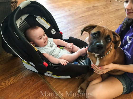 baby in car seat with little girl and puppy