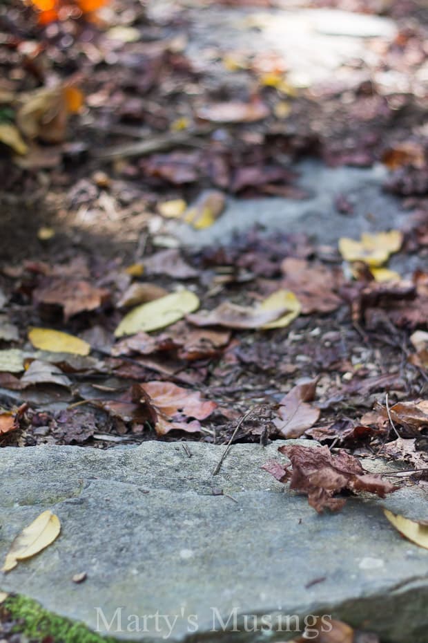 A close up of a street