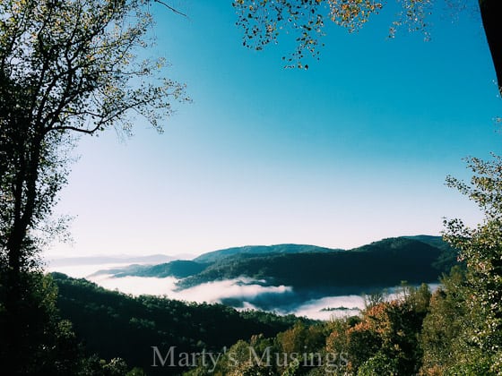 A tree with a mountain in the background