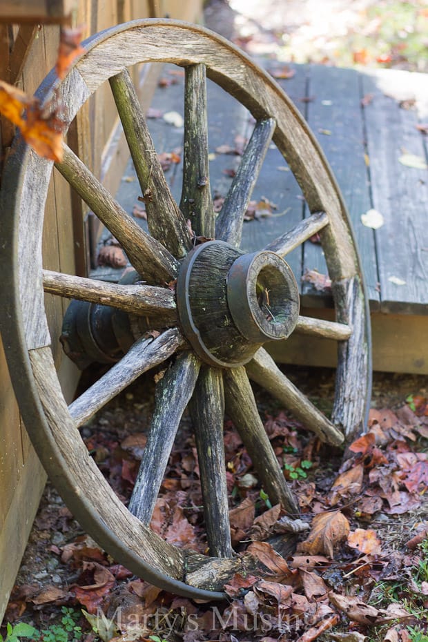 A wheel on a wooden surface