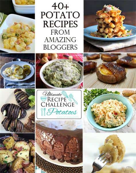 40+ Potato recipes from amazing bloggers for everything from soups to casseroles to appetizers!