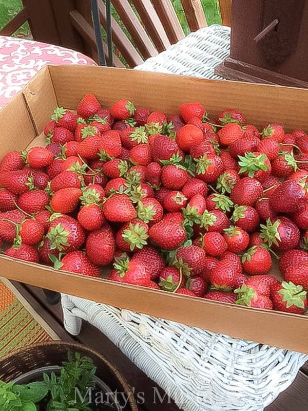 A group of fruit sitting on top of a wooden table