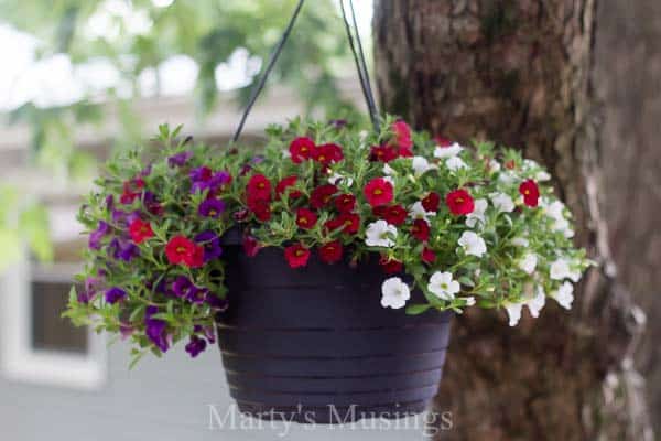 A vase of flowers on a plant