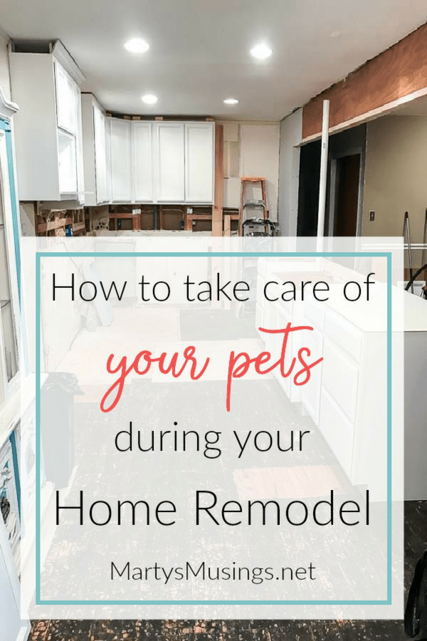 These practical tips will help you AND your pets survive your next big home remodeling project with ease!