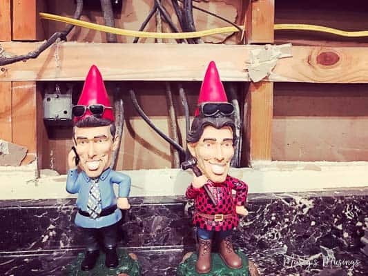 Property Brothers gnomes