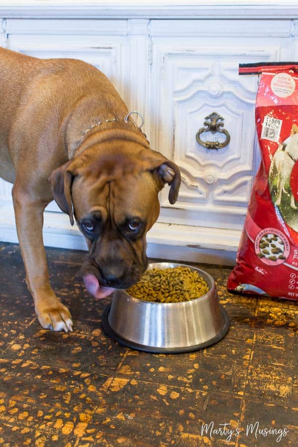 Purina Sensitive Systems Dog Food Ingredients Purina Sensitive Systems Dog Food Ingredients