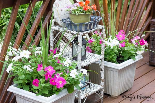 A pink flower pot