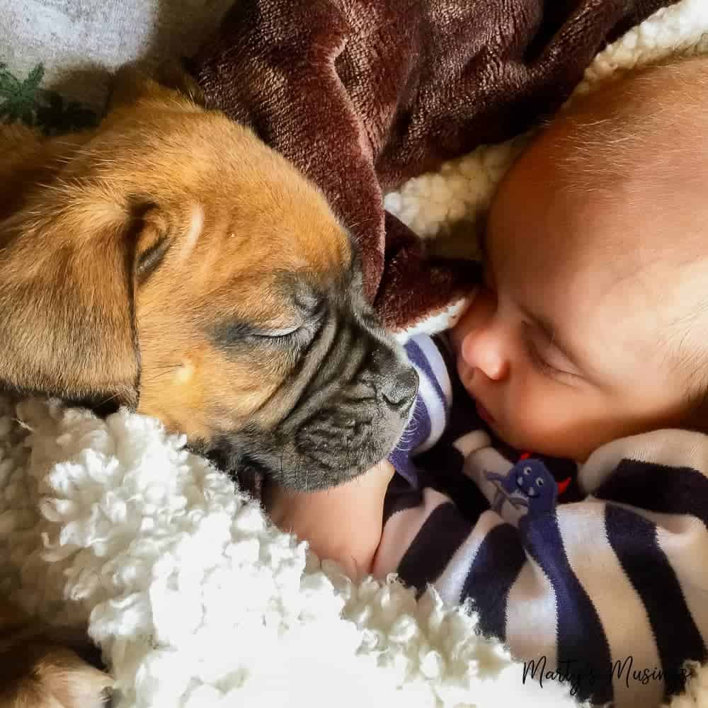 baby and puppy snuggled together