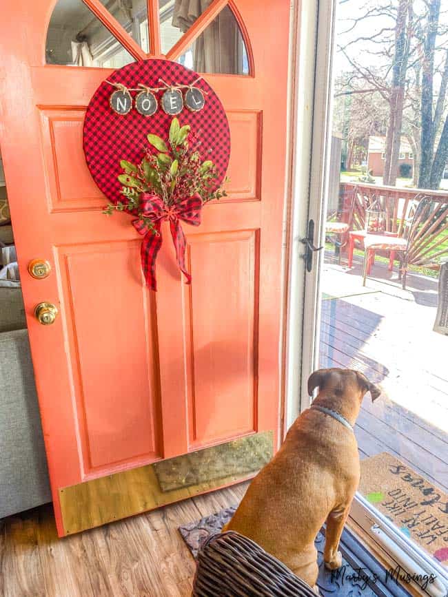 buffalo check wreath on coral front door with dog