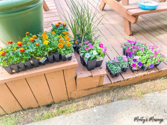 Flowers on side of peeling deck