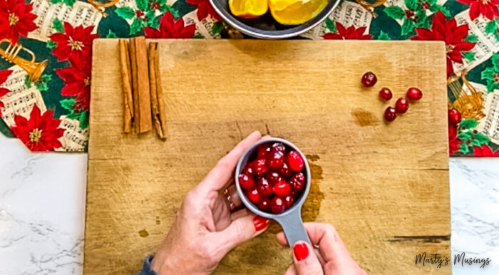 Cranberries added to homemade stove top potpourri