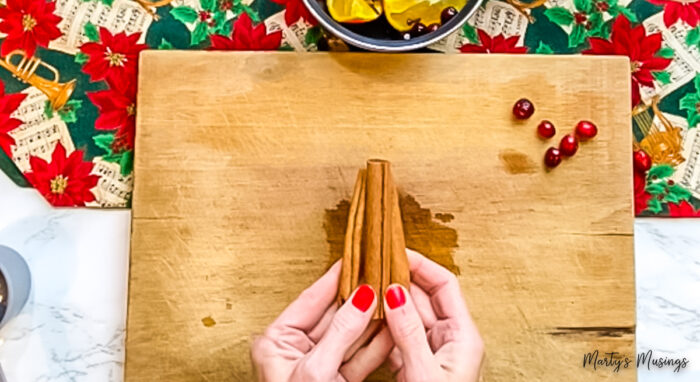 Cinnamon sticks used for homemade potpourri