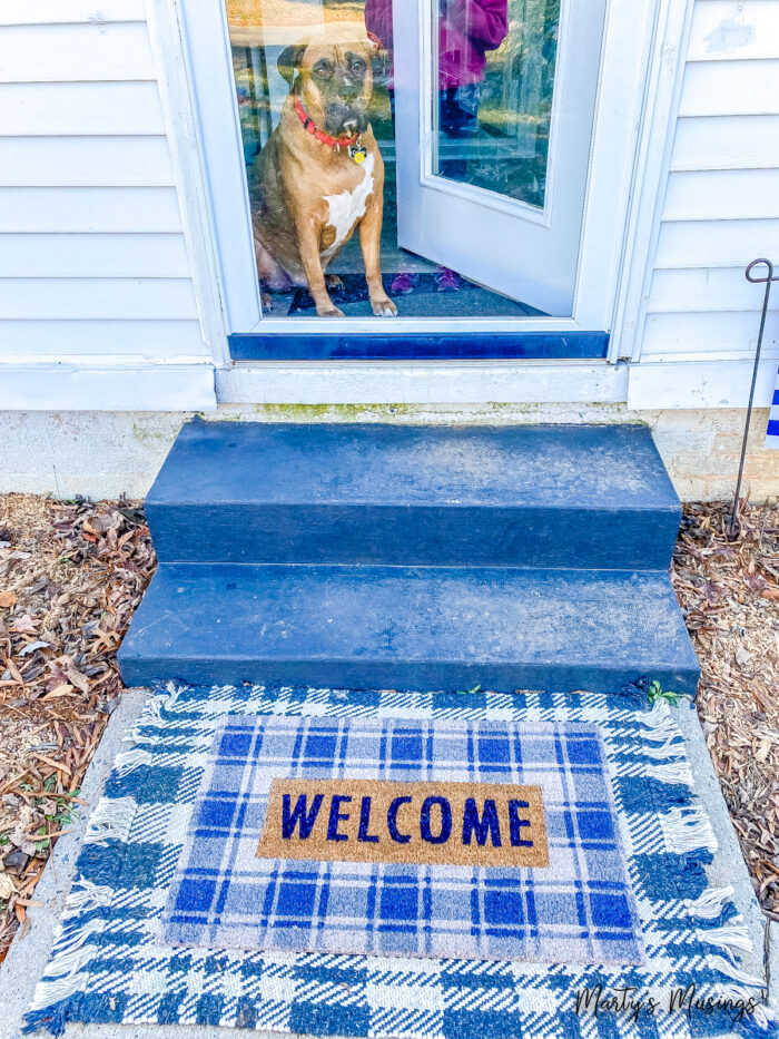 Welcome mat with dog looking through glass door